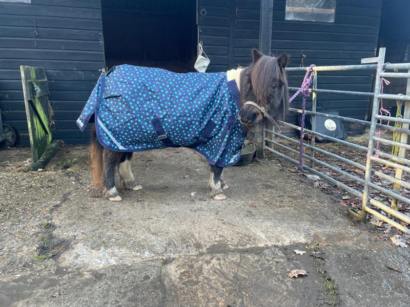 Brilliant rugs thank you so much