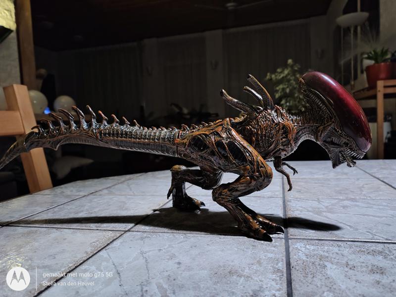 X-Rex is back!