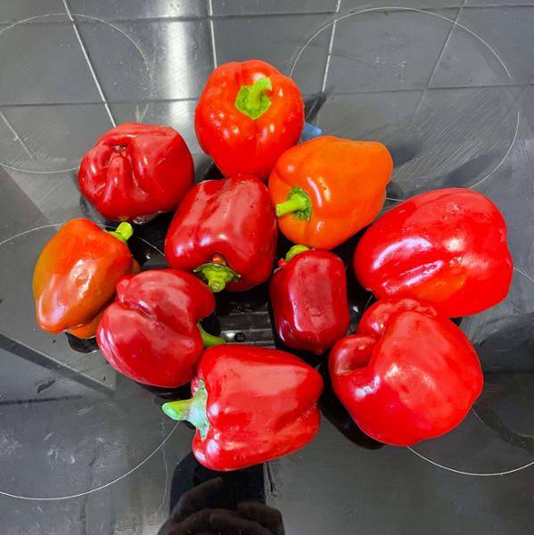 Its so good my plants are  growing instead of being eaten defo buying again