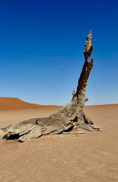 Namibia in a nutshell
