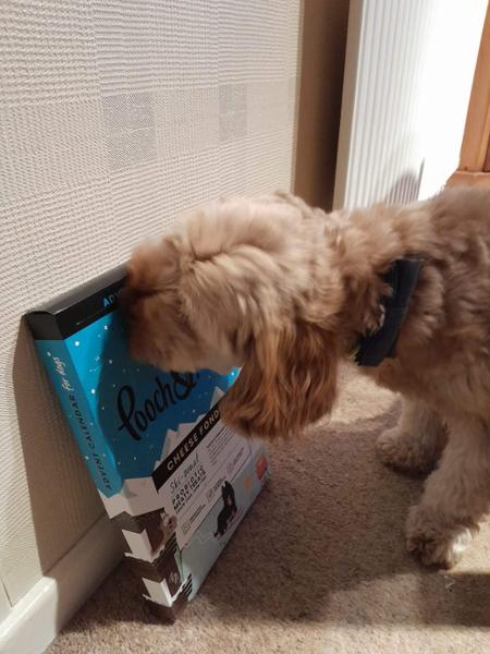 Calming Dog Food for Anxious Dogs | 2kg | Calm & Relaxed Dry Dog Food | Pooch & Mutt | Grain-Free Food For Hyperactive Dogs