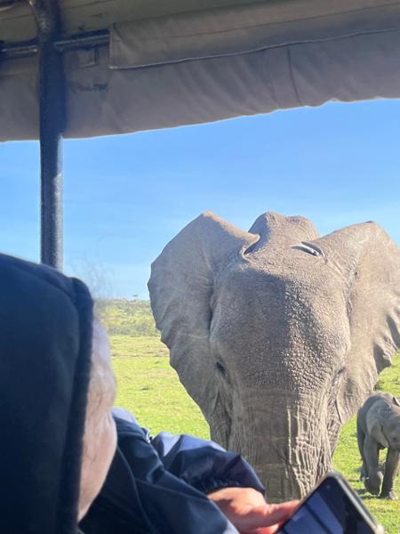 Trip of a Lifetime - Thanks go2africa.com!