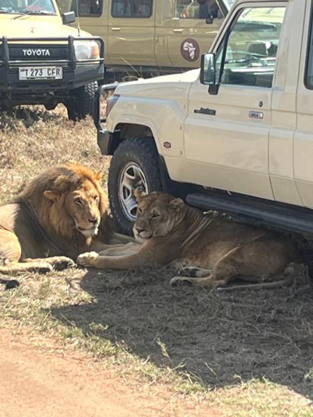 Trip of a Lifetime - Thanks go2africa.com!