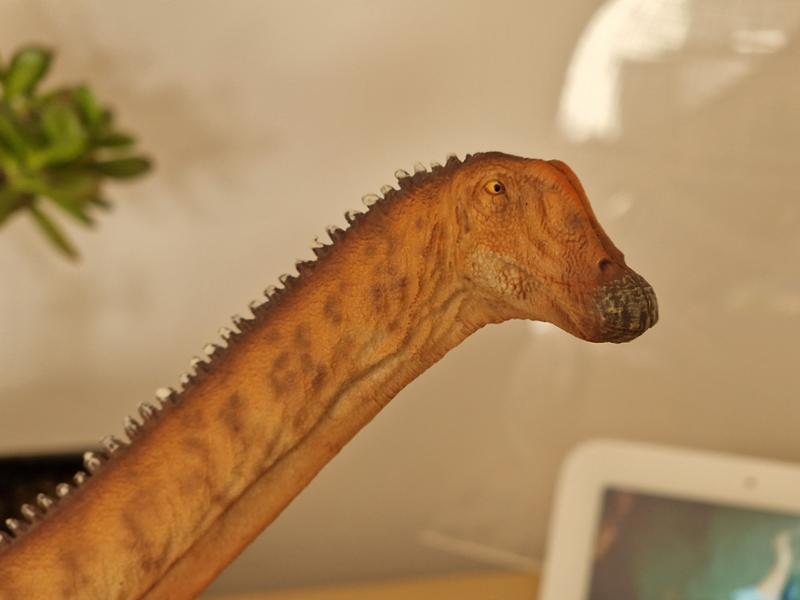 Haolonggood Dippy