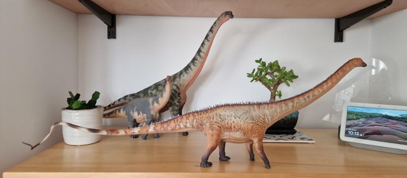Haolonggood Dippy