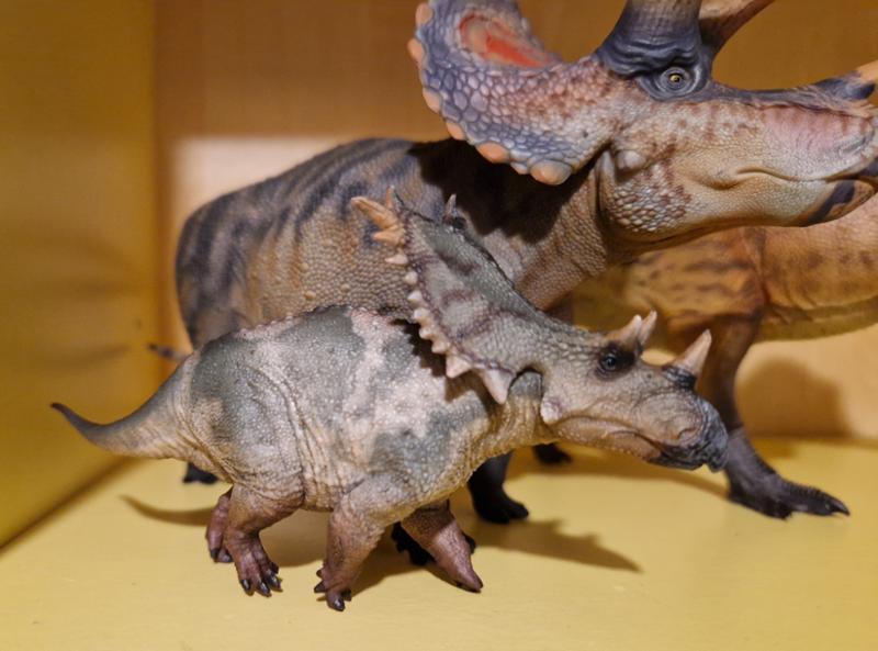 Haolonggood Dippy