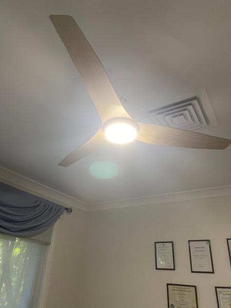 Office and home ceiling fan