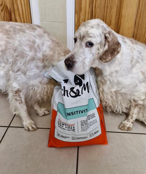 Sensitivity Dog Food For Food Allergies | 10kg | Hypoallergenic Dog Food For Food Sensitivities | Pooch & Mutt | Veterinary Dog Food