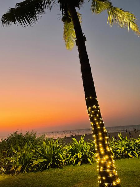 Charleston Beach Resort