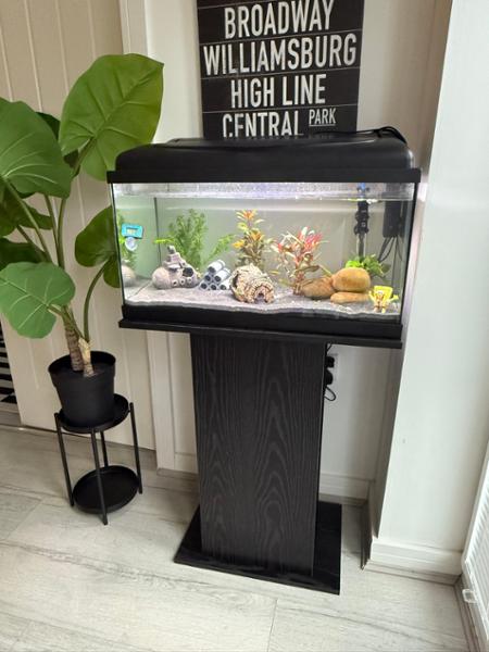 Perfect fishing tank for beginners! Happy customer