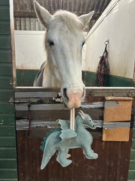 Horse toy dinasour