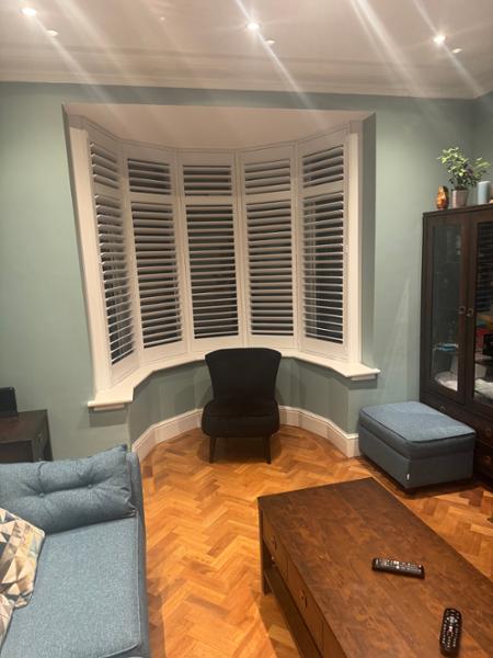 Makes my bay window and room look like a show room.