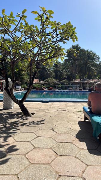 Would definitely use the Gambia experience again!