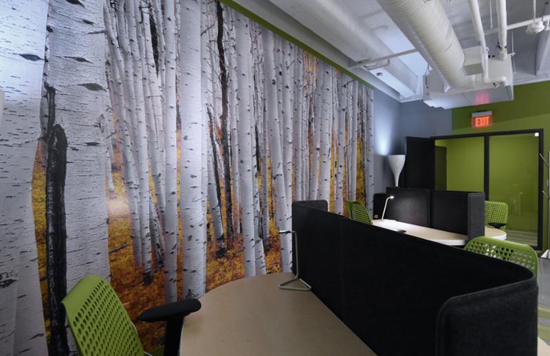 Murals Your Way have been my go to mural supplier for over 10 years. I see.