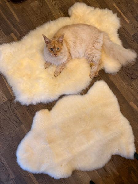 Excellent quality, cats love them