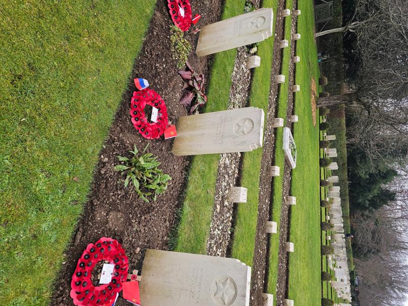 Medium Poppy Wreath (Type B)