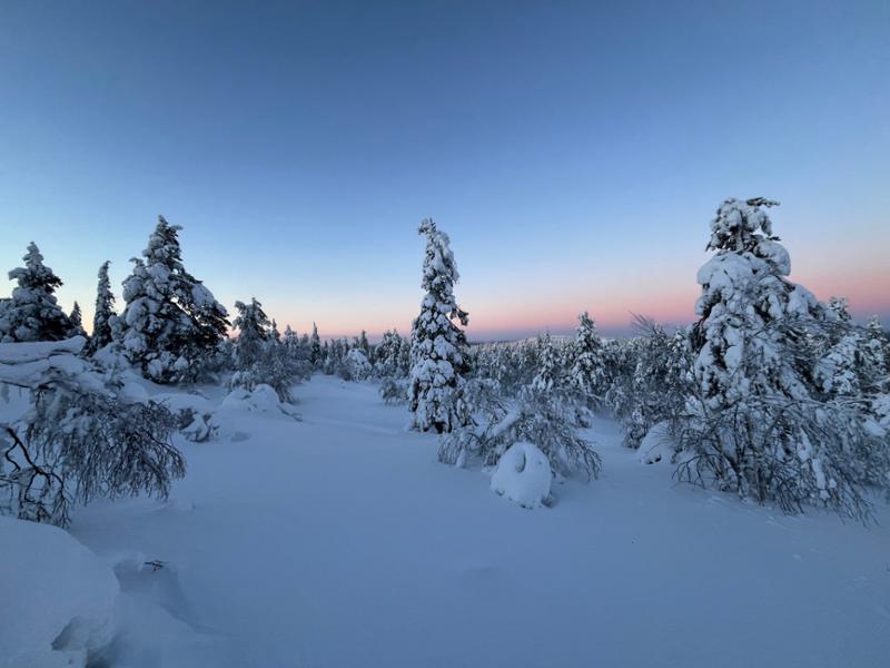 Lapland Arctic Adventure