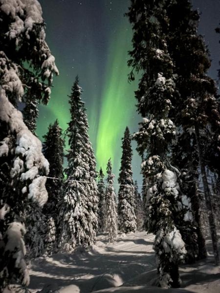 Lapland Arctic Adventure