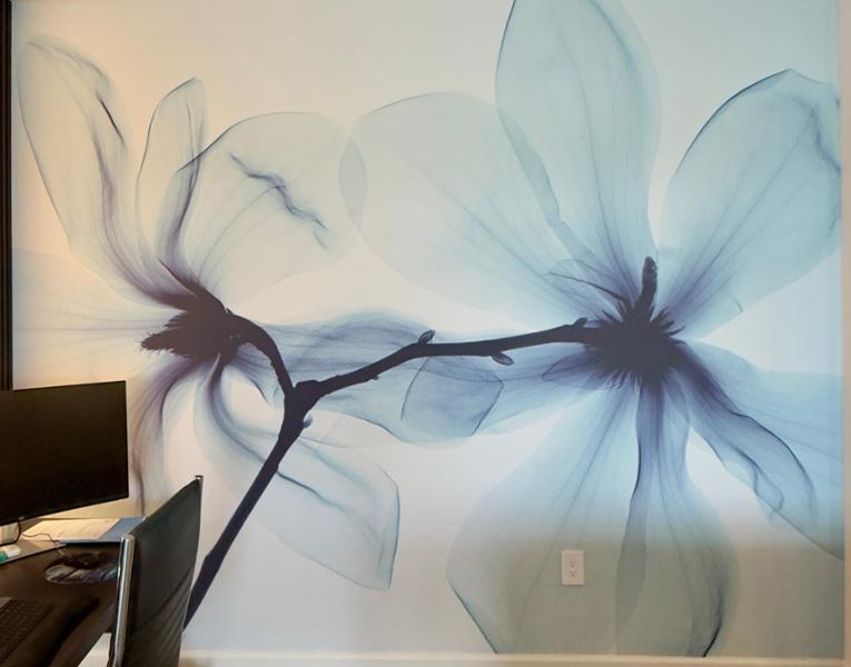 Beautiful artwork