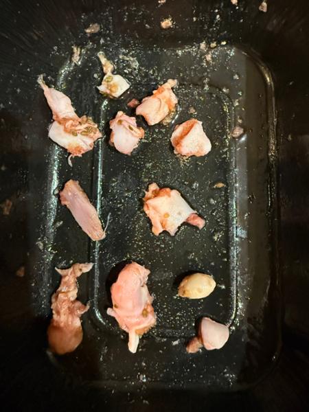 Ignoring bone fragments in raw food