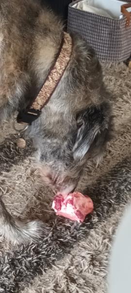 Raw Marrow Bones