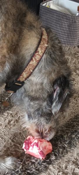 Raw Marrow Bones