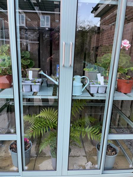 Fabulous Greenhouse