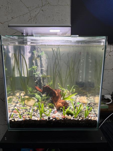 "Beautiful Aquarium, Excellent Customer Service When Needed"