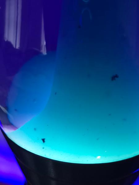 Poor quality lava lamp