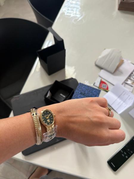 Roberto Cavalli Ladies Watch RC5L104M0035