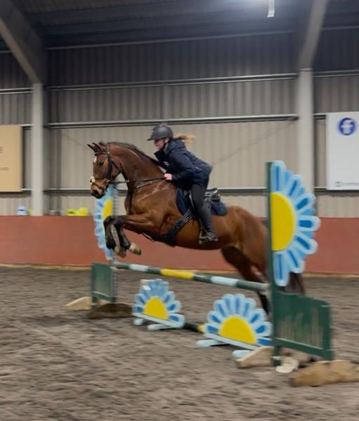 Our ponies love blue chip feed. They work super well on it