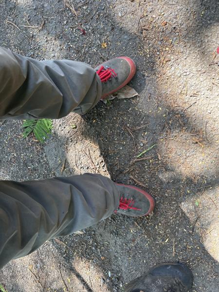 Meindl Airstream Chainsaw Boots
