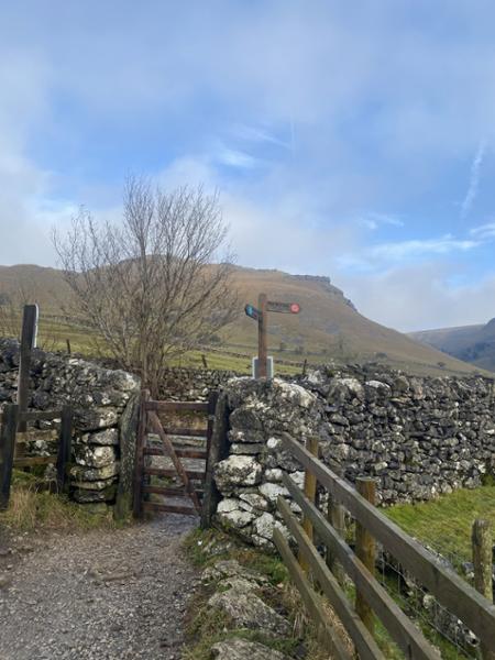 Excellent walking company