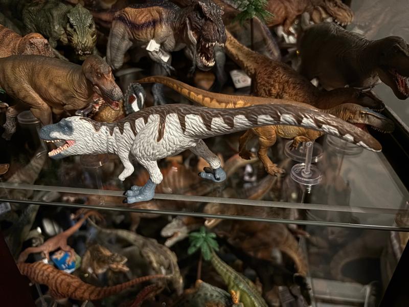 Everything Dinosaur is the Best Online Dino Store