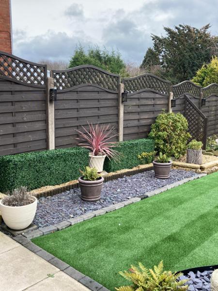 Everything in my garden is now greener.