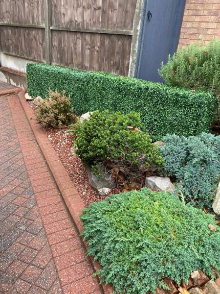 Freestanding Artificial Boxwood Hedge 56cm x 158cm | Easy Assembly High Quality Portable Boxed Hedges | UV Protected | Outdoor or Indoor Use