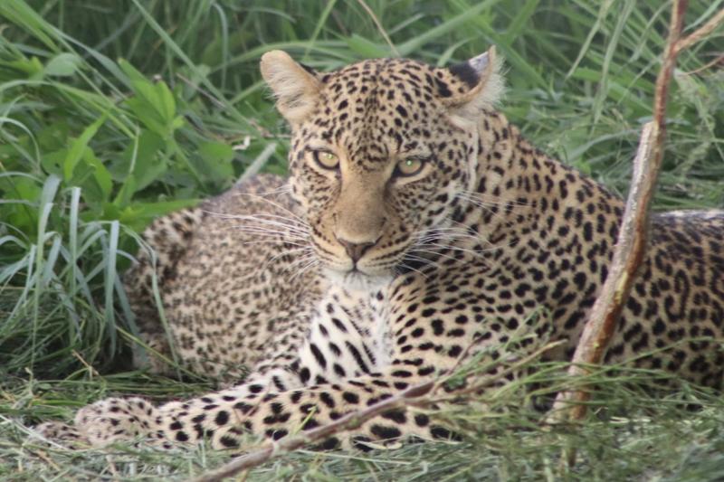Outstanding Guides, Seamless Logistics, and Amazing Lodges