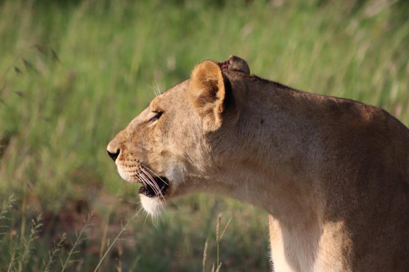 Outstanding Guides, Seamless Logistics, and Amazing Lodges