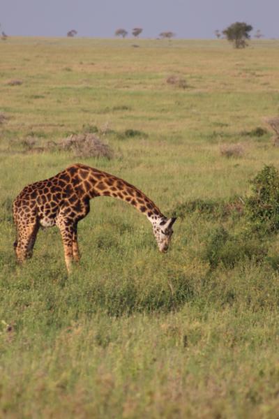 Outstanding Guides, Seamless Logistics, and Amazing Lodges