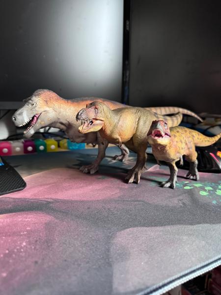 Everything dinosaur T-Rex model