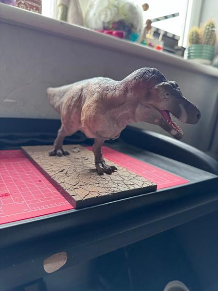 Everything dinosaur T-Rex model