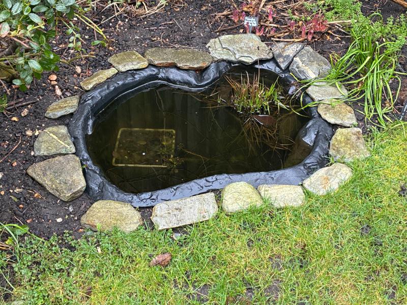 Pleased with wildlife pond.