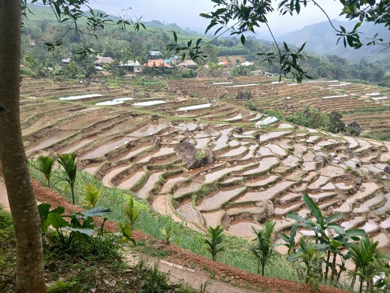 Your holiday: Walking with sightseeing in Vietnam