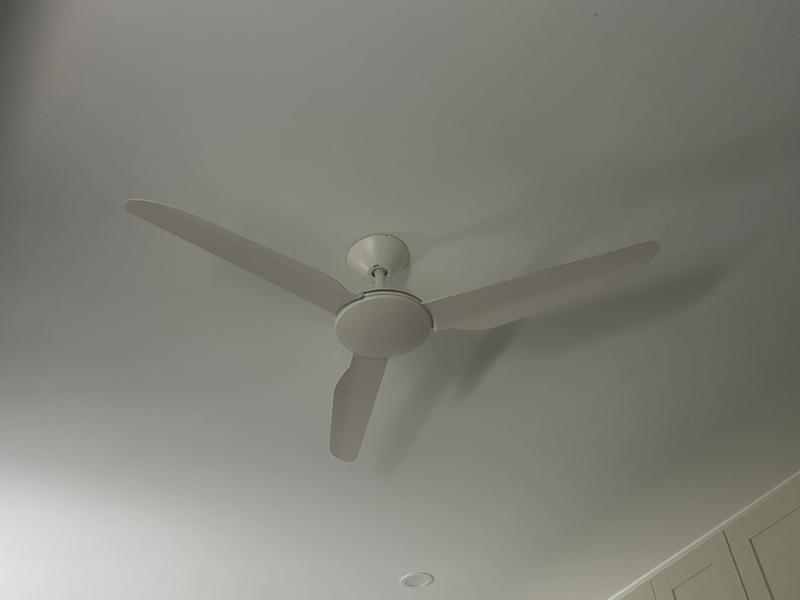 Best fan ever!