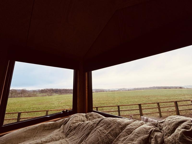 Cabin of dreams x
