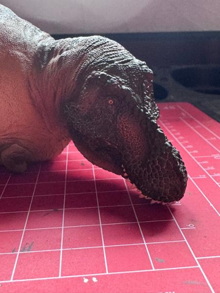 Andrea the T rex