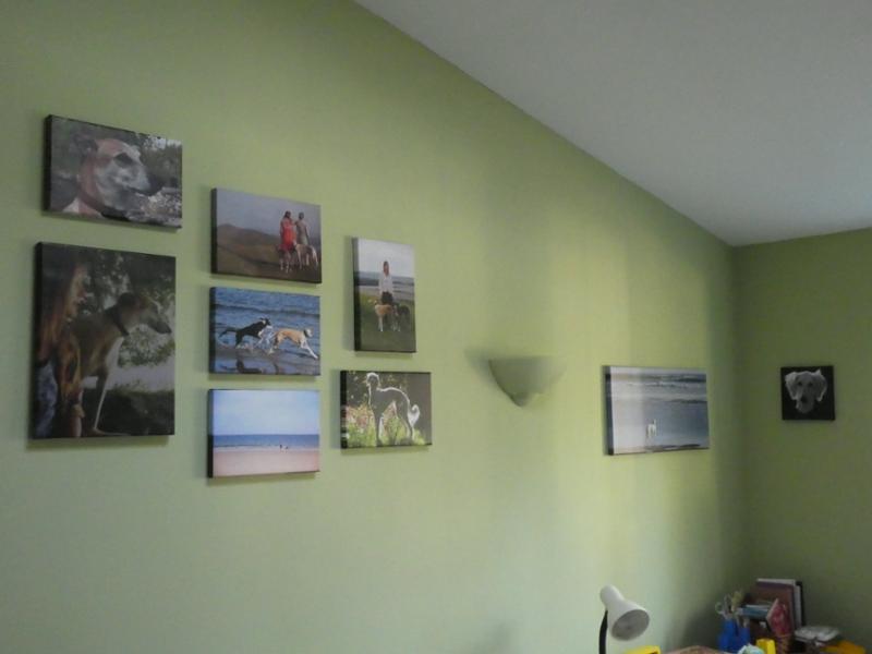 Command Large Canvas Hanger