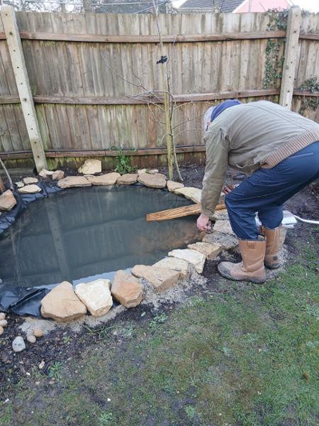 New pond