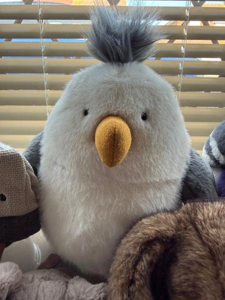 Jellycat seagull; jolly character that doesn’t steal your chips!