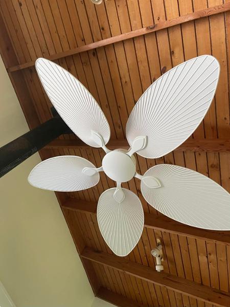 Love this fan!